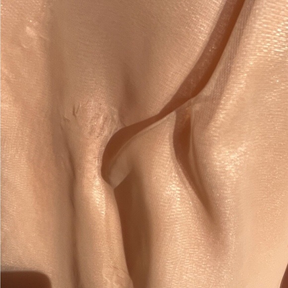 Vintage 60s Frothy Peaches & Cream Organdy Gown - Picture 7 of 8